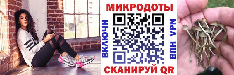 Псилоцибиновые грибы Magic Shrooms Горячеводский